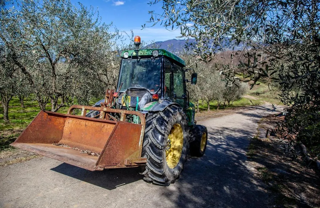 Locanda agricola Posapiano-1